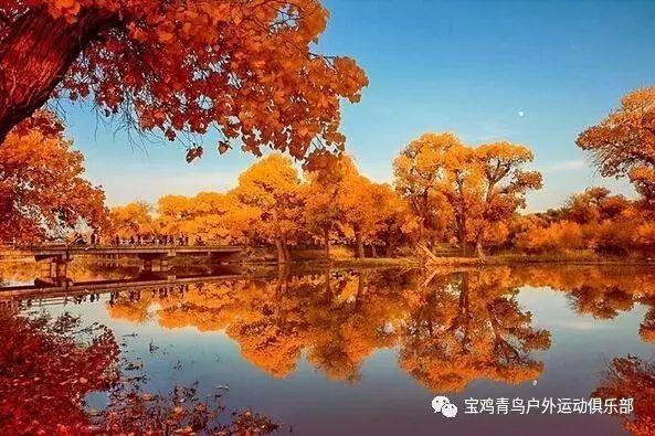 火柴人打羽毛球3